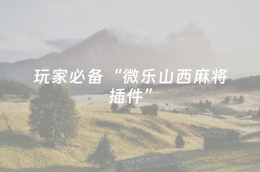 玩家实测“白金岛三打哈怎么拿好牌（专用辅牌神器免安装）