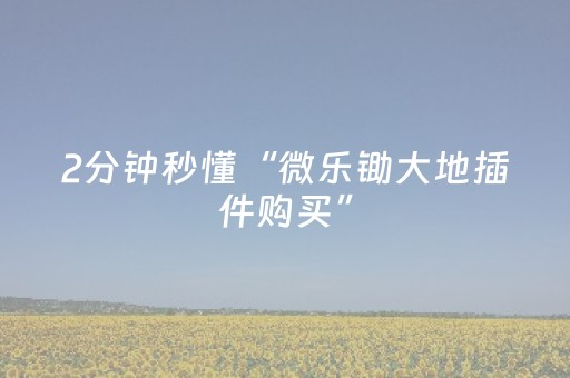 3分钟学会“麻友圈安全版到底有没有挂”（详细透视教程）-哔哩哔哩