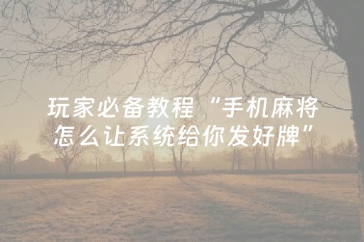 终于发现了“大头十三水辅助软件出售（助赢神器通用版）