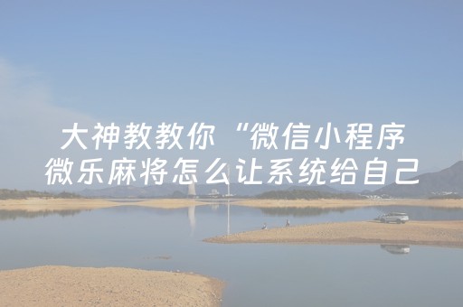 实测结果“微信麻将小程序插件购买”（详细透视教程）-哔哩哔哩