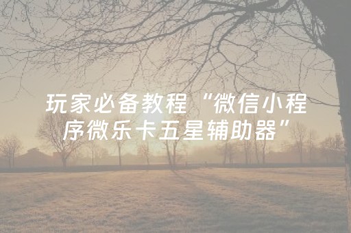 玩家必看攻略“小程序麻将做弊器是真的吗（助赢神器通用版）