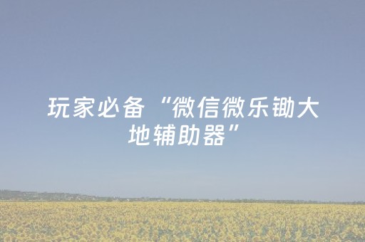教程辅助“有玩埋雷避雷开挂辅助软件”（详细透视教程）-哔哩哔哩