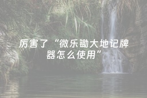 实测结果“大头十三水有没有外挂（专用辅牌神器免安装）
