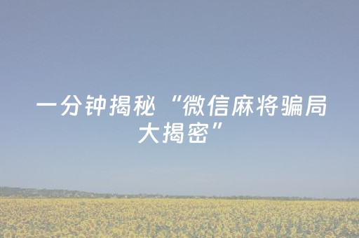 一分钟揭秘“微信麻将骗局大揭密”（透明器教程)