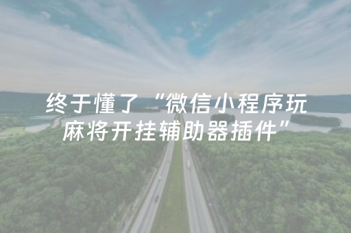 实测教程“财神十三张助赢神器（专用辅牌神器免安装）