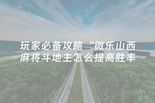 玩家必备攻略“微乐山西麻将斗地主怎么提高胜率”（辅助器插件)