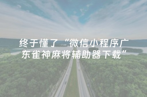 2分钟秒懂！“手机麻将做弊器最新款”（详细开挂教程）-哔哩哔哩