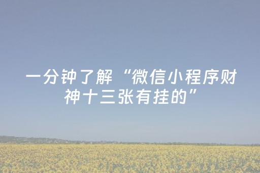 玩家必备教程“开心十三张辅助器（助赢神器通用版）