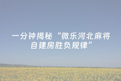终于发现“微乐免费房间怎么提升胜率（专用辅牌神器免安装）