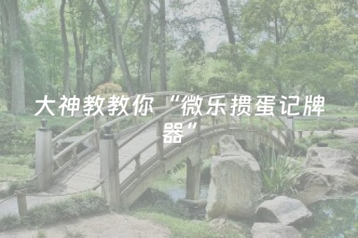 大神教教你“微乐掼蛋记牌器”（究竟是不是有挂)