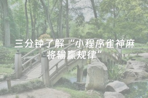 教程辅助“麻将手机控牌器免安装（专用辅牌神器免安装）