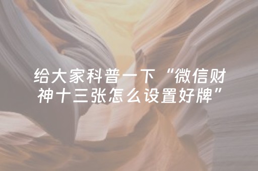 终于发现“手机十三水万能辅助器（助赢神器通用版）
