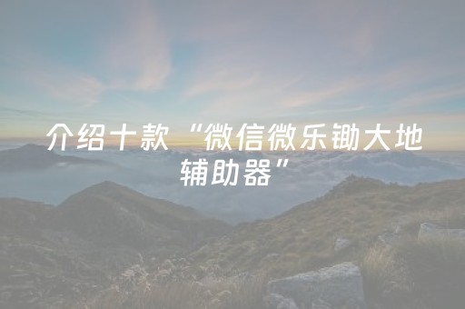 分享辅助“免安装麻将机控牌器手机专用”（详细透视教程）-哔哩哔哩