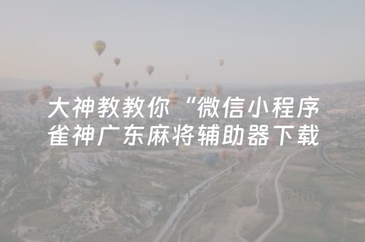 实测辅助“微信跑得快怎么让系统发好牌（助赢神器通用版）