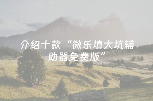 介绍十款“微乐填大坑辅助器免费版”（软件出售)