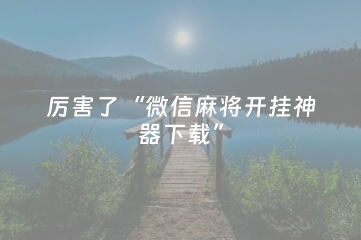 分享辅助“边锋斗地主修改器（专用辅牌神器免安装）