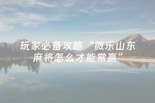 教程辅助“牵手跑胡子外挂（专用辅牌神器免安装）