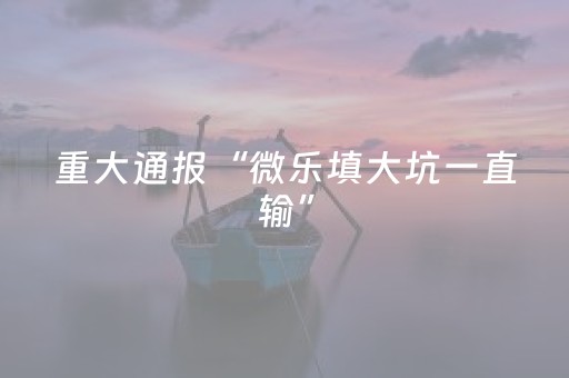 重大通报“微乐填大坑一直输”（辅助器下载)