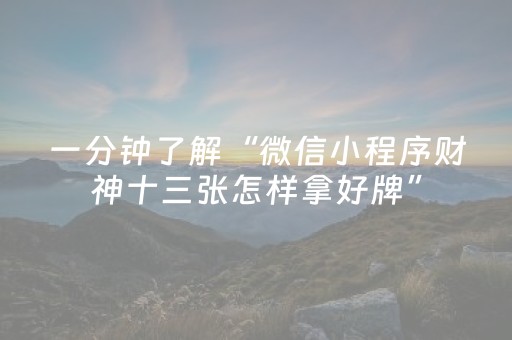 实测分析“微友麻将铺牌器最新免费”（详细透视教程）-哔哩哔哩