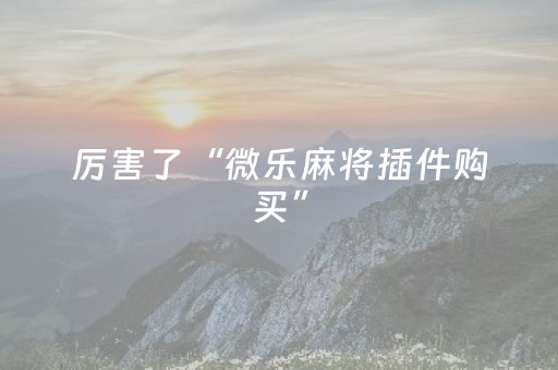 厉害了“微乐麻将插件购买”（小程序怎么才会赢)