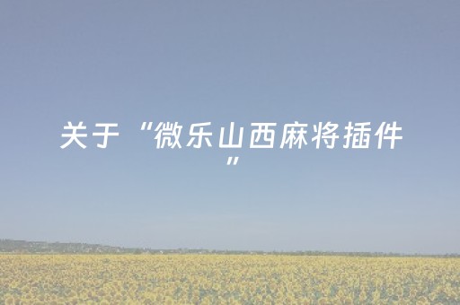 3分钟学会“哥哥跑得快要怎么样拿好牌（专用辅牌神器免安装）