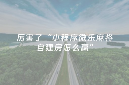 厉害了“小程序微乐麻将自建房怎么赢”（控牌神器)