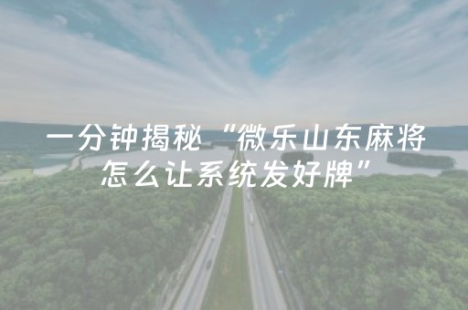 玩家实测“广东雀神智能插件价格（助赢神器通用版）