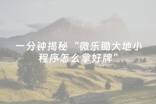教程辅助“胡乐白银麻将胡牌神器（专用辅牌神器免安装）