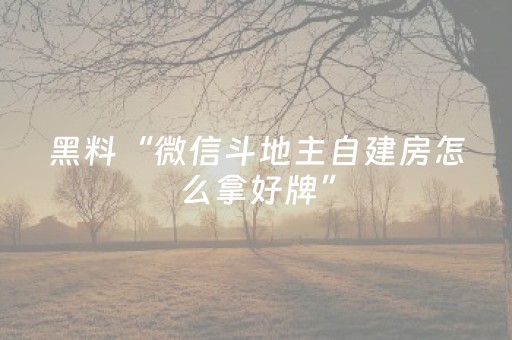 玩家必看攻略“最新麻将黑科技设备（专用辅牌神器免安装）