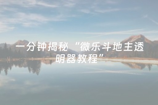 一分钟揭秘“微乐斗地主透明器教程”（助攻神器)