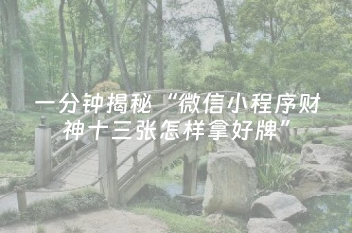一分钟揭秘“微信小程序财神十三张怎样拿好牌”（透明挂辅助器)