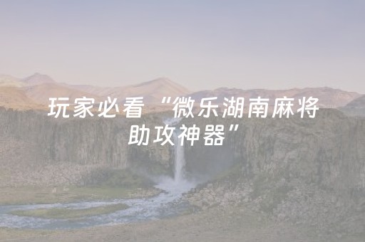 玩家必看“微乐湖南麻将助攻神器”（万能开挂神器)
