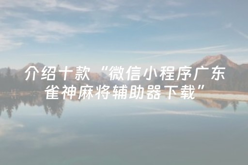 介绍十款“微信小程序广东雀神麻将辅助器下载”（技巧和打好牌方法)