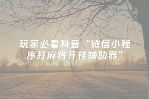 玩家必看科普“微信小程序打麻将开挂辅助器”（软挂神器)