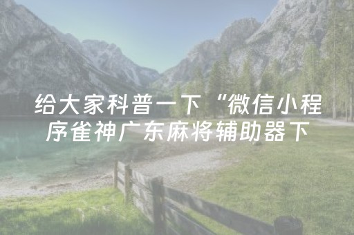 给大家科普一下“微信小程序雀神广东麻将辅助器下载”（胜率到哪调)