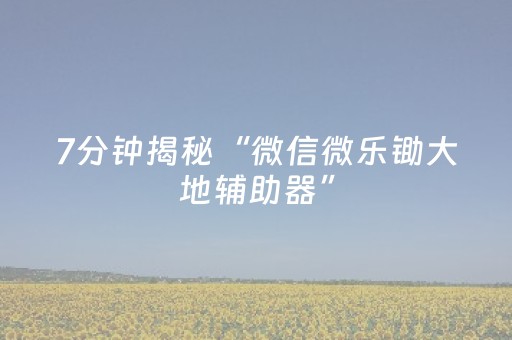 7分钟揭秘“微信微乐锄大地辅助器”（如何提高胜率)