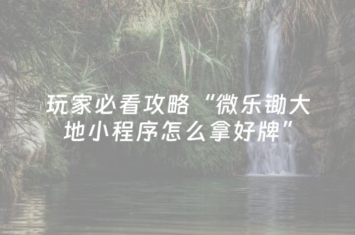 必看教程“手机微乐麻将铺牌器（专用辅牌神器免安装）