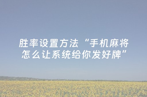 我来教大家“开心泉州麻将免费插件”（详细透视教程）-哔哩哔哩
