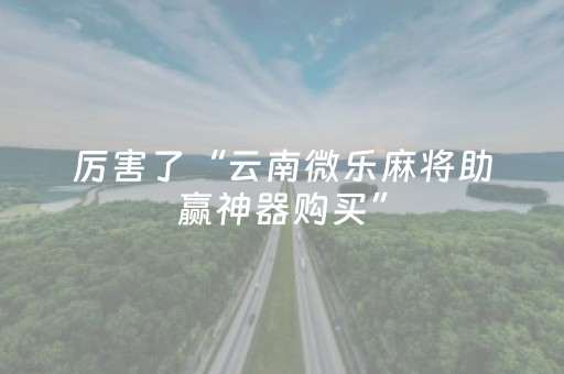 厉害了“云南微乐麻将助赢神器购买”（辅牌器插件购买)