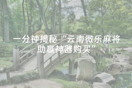 一分钟揭秘“云南微乐麻将助赢神器购买”（辅牌器插件购买)