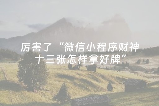 厉害了“微信小程序财神十三张怎样拿好牌”（可以设置输赢吗)