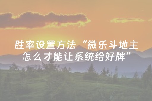 胜率设置方法“微乐斗地主怎么才能让系统给好牌”（软挂神器)