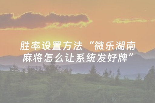 胜率设置方法“微乐湖南麻将怎么让系统发好牌”（怎么设置才能赢)