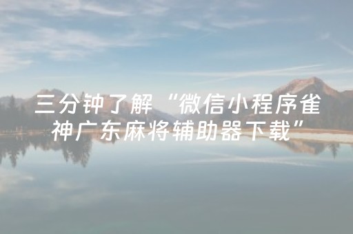 三分钟了解“微信小程序雀神广东麻将辅助器下载”（挂件神器)