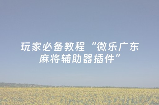 玩家必备教程“微乐广东麻将辅助器插件”（怎么增加胜率)