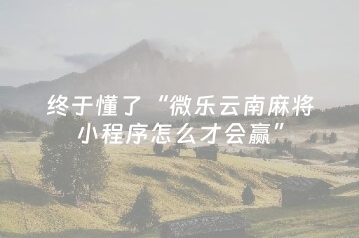 实测分享“手机十三水辅助器”（详细辅助教程）-哔哩哔哩