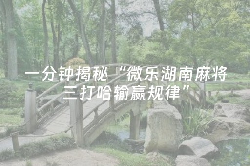 一分钟揭秘“微乐湖南麻将三打哈输赢规律”（规律确实有挂)