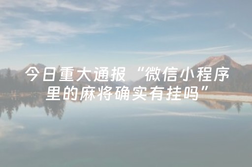 实测结果“微乐河北麻将亲友房怎么拿到好牌（专用辅牌神器免安装）