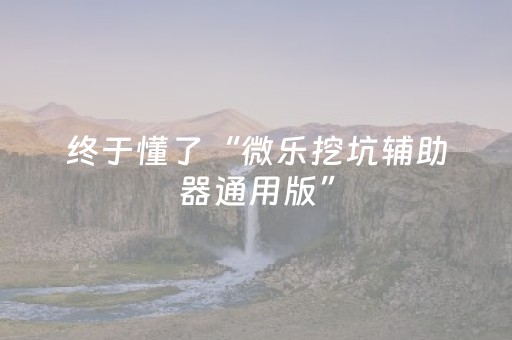 终于懂了“微乐挖坑辅助器通用版”（外辅工具)