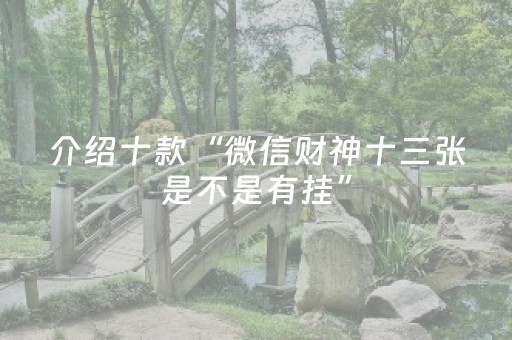 介绍十款“微信财神十三张是不是有挂”（辅助器插件)